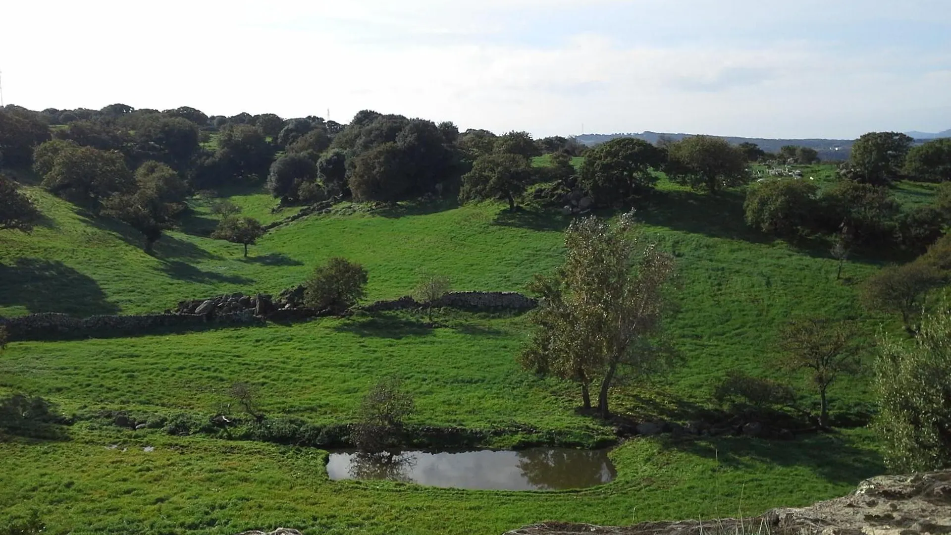 Farm stay Agriturismo Pentuma Villa Chiaramonti Italy